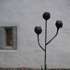 Ethanol Blumen Knospen
